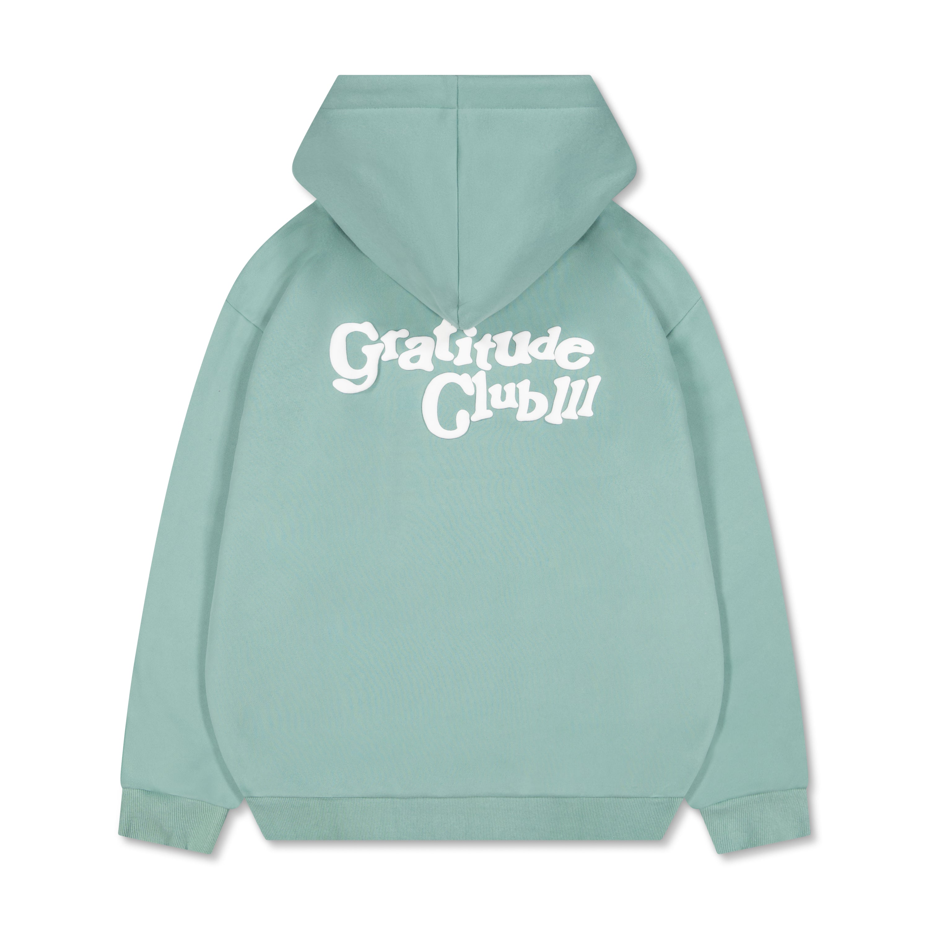 Sage Green Puff Fleece Hoodie